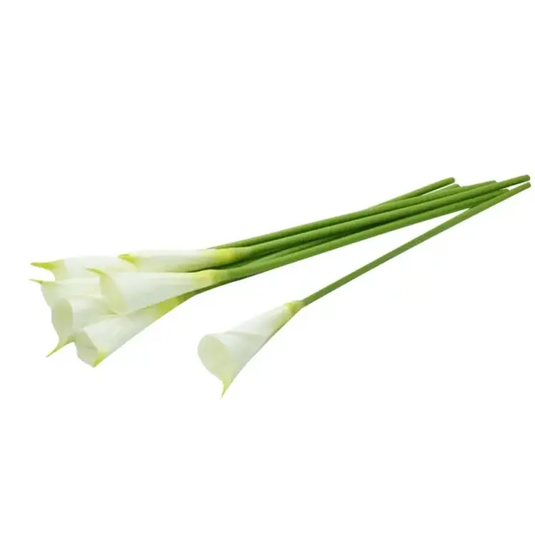 24" White Calla Lily Stem