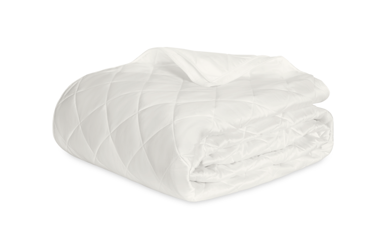 Nocturne F/Q Quilt Bone