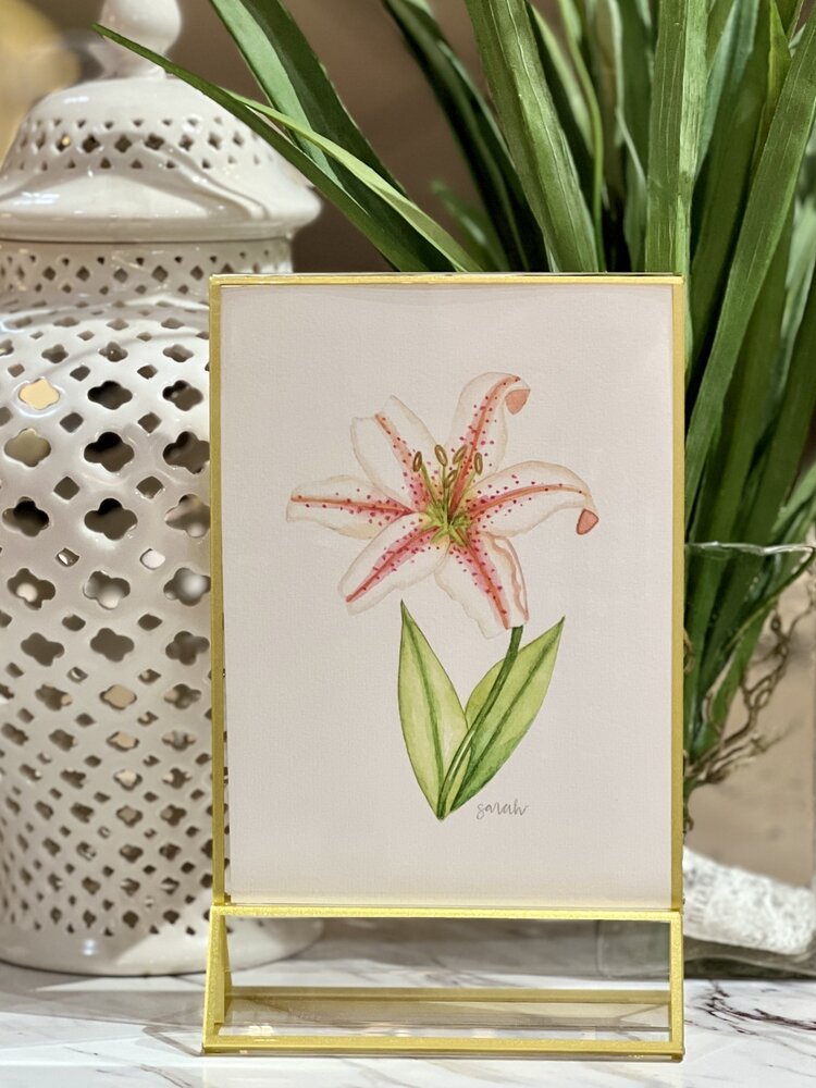 Sarah Godwin  Acrylic Framed Lily Print