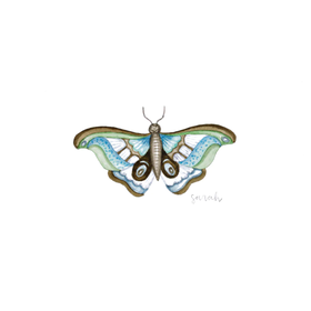 Sarah Godwin Teal Moth Watercolor Print