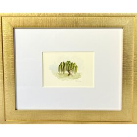 Sarah Godwin Framed Tree- Willow 1