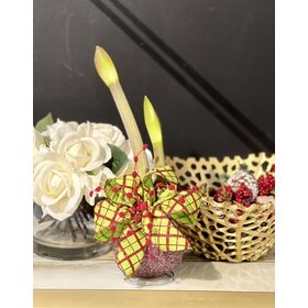 Red And Silver Glitter Amaryllis Bulb