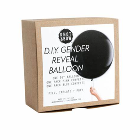 Gender Reveal Balloon DIY Kit