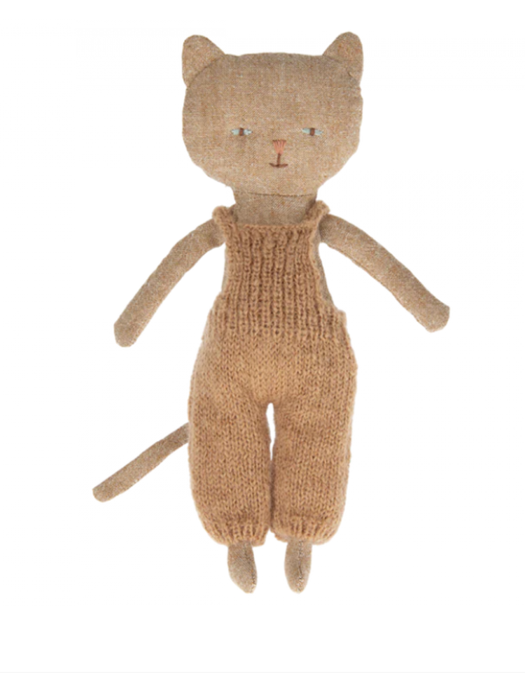 Chatons Kitten Ginger