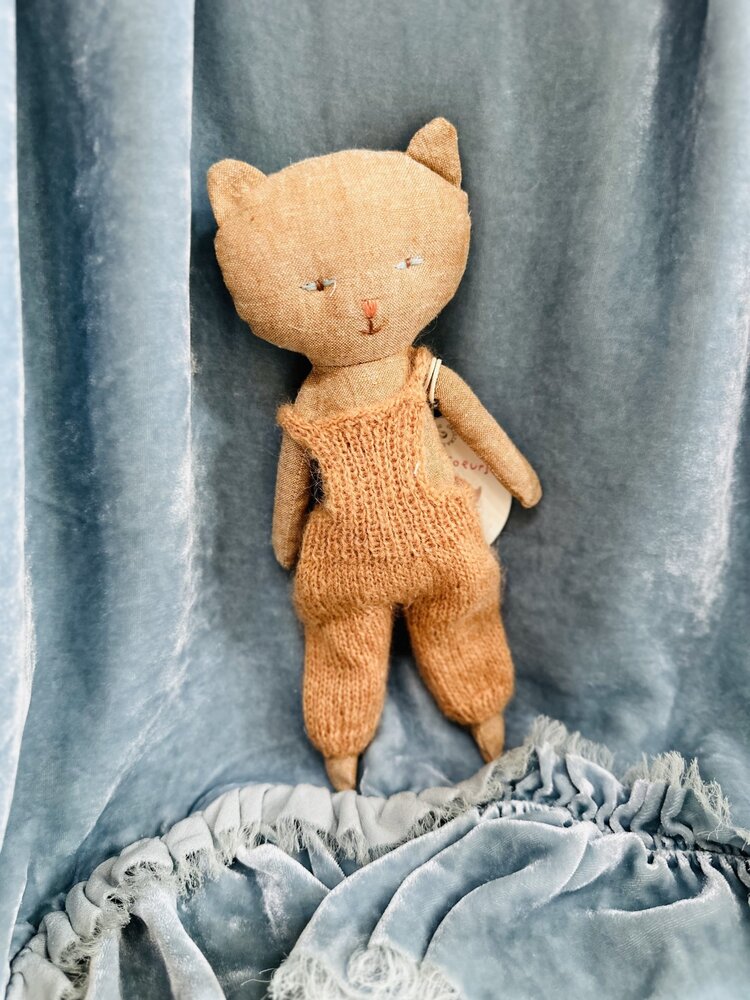 Chatons Kitten Ginger