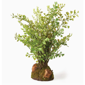 Maidenhair Drop-in 11"