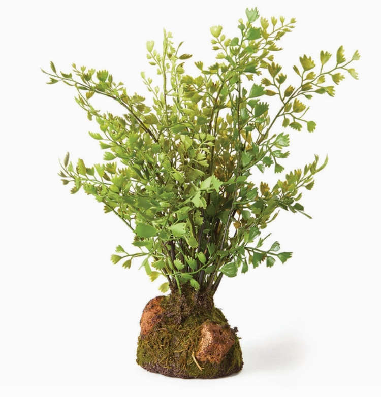 Maidenhair Drop-in 11"