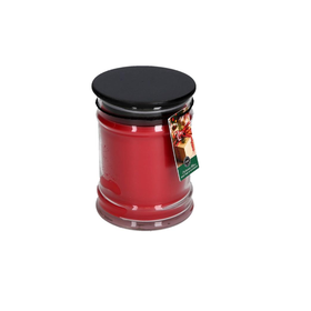 Christmas Bliss 8oz Candle