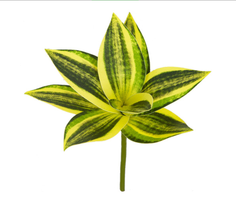 7 in. Width FR Sansevieria Plant