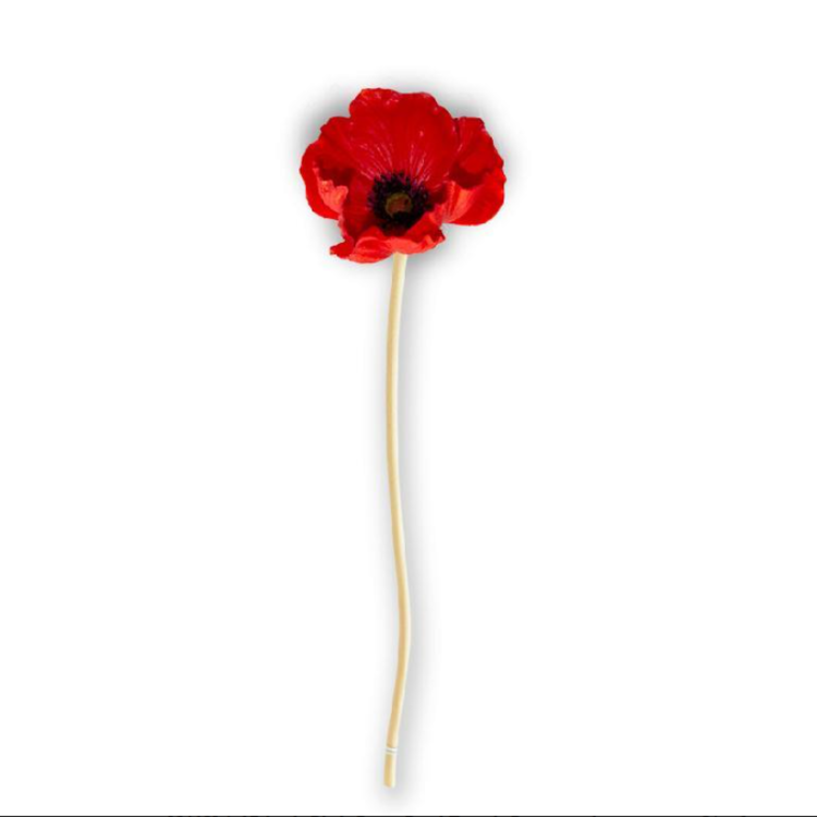 Real Touch Red Poppy 11"