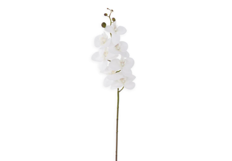 White Orchid Stem 34.5"