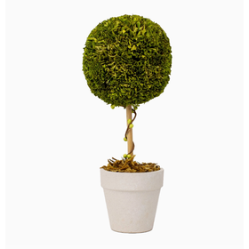 Boxwood Topiary Green 4x10.25x4