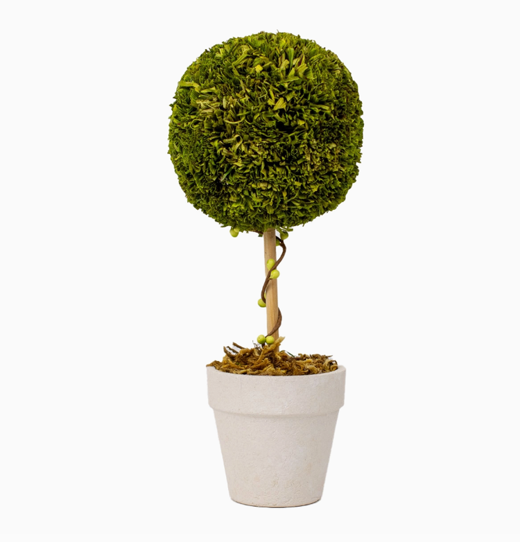 Boxwood Topiary Green 4x10.25x4
