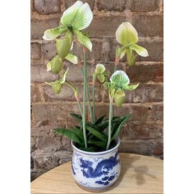 artificial Lady's Slipper plant in blue vase 18" tall