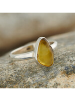 Baltic Amber Ring (8)