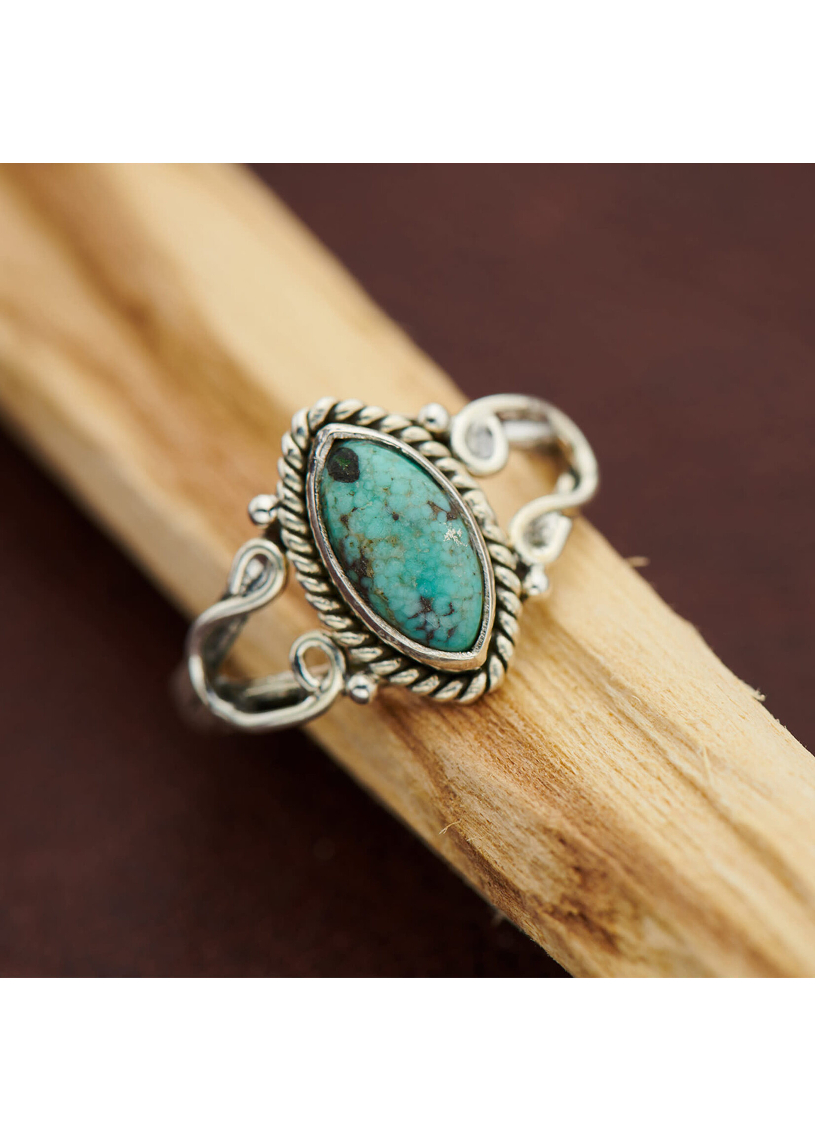 Sterling Silver Tibetan Turquoise Horseshoe Ring (10)