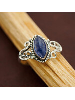 Sterling Silver Blue Kyanite Horseshoe Ring (10)