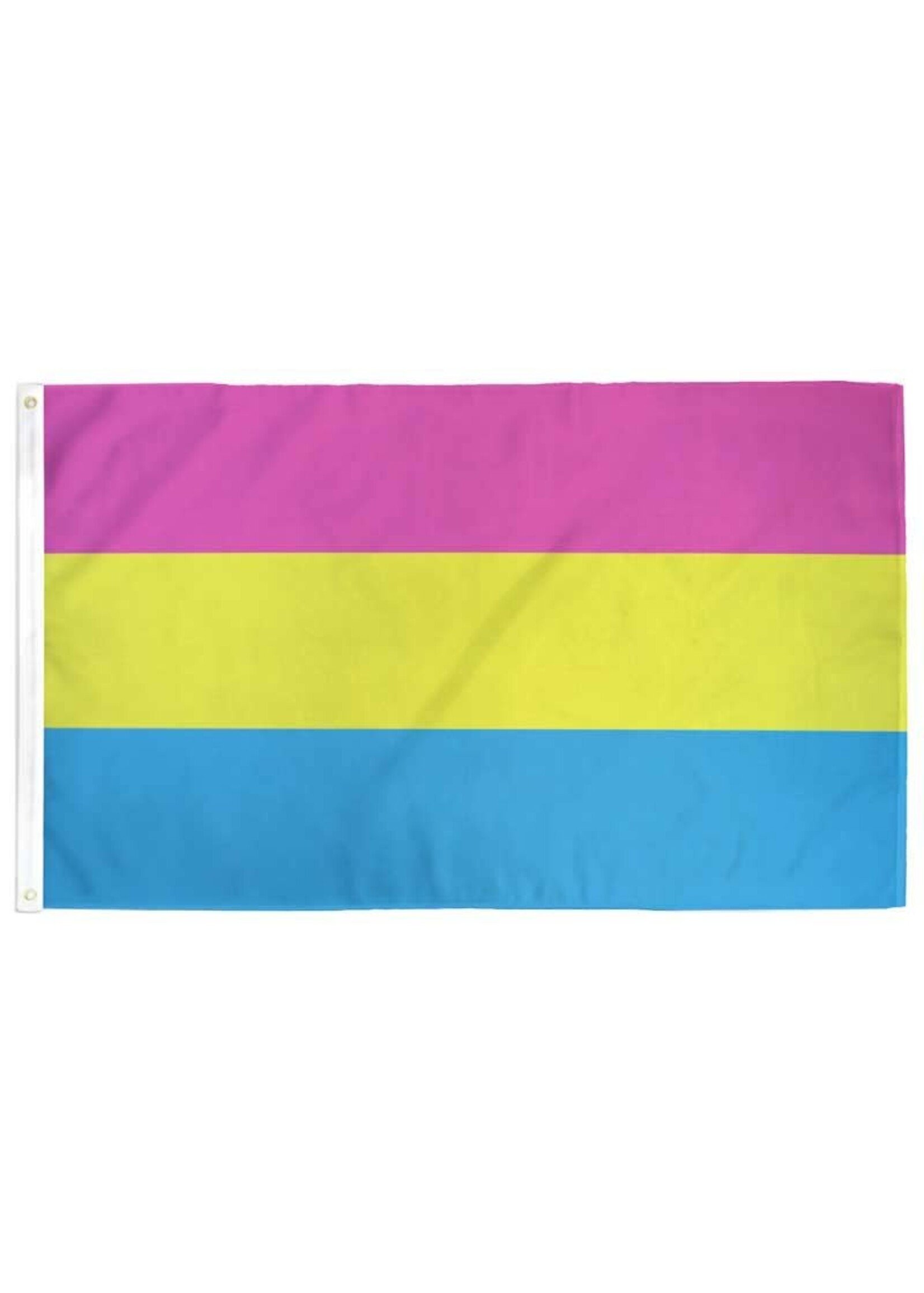Outdoor Flag, 3'x5' - Pansexual Pan Pride