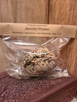Spellcraft Herbs: Jericho Flower 1pc