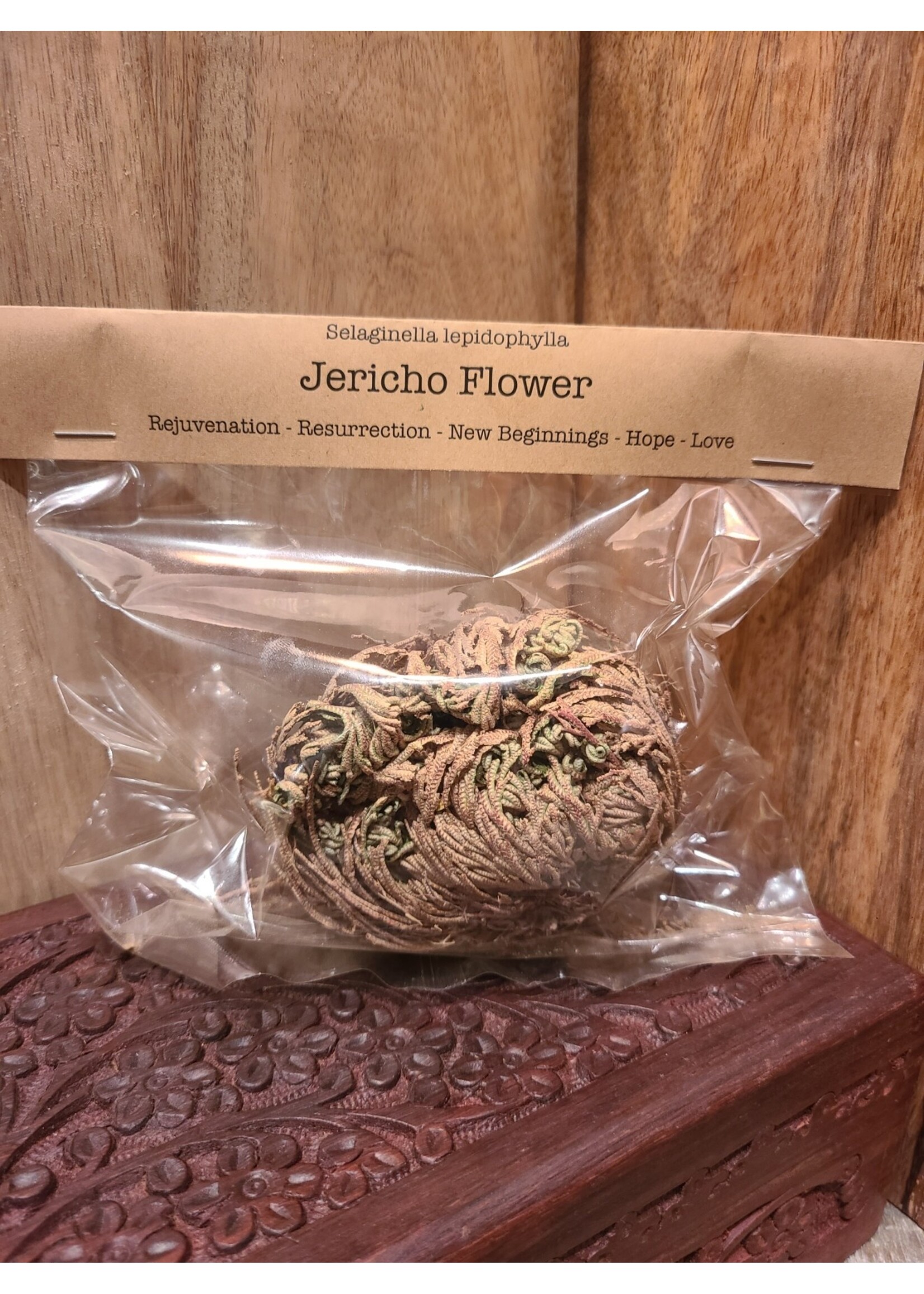 Spellcraft Herbs: Jericho Flower 1pc