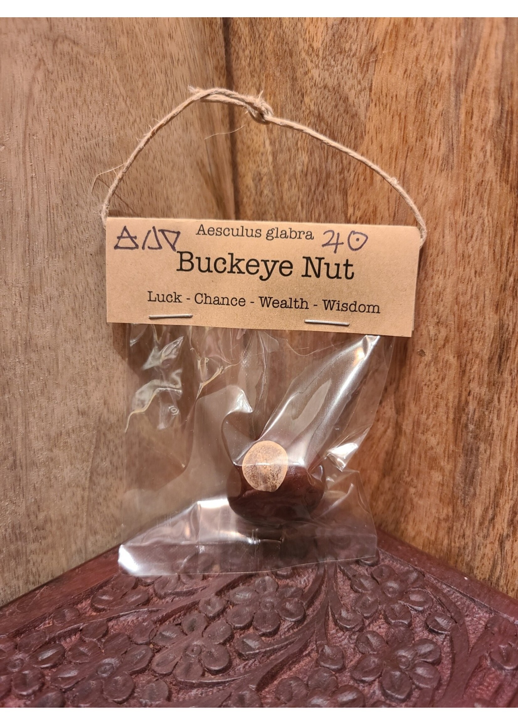 Spellcraft Herbs: Buckeye Nut 1pc