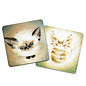 SPIRIT CATS ORACLE DECK