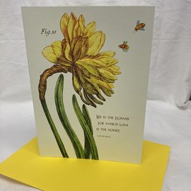 VALENTINE'S DAY CARD NARCISSUS & BEE