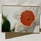 Easter Card BLOOM