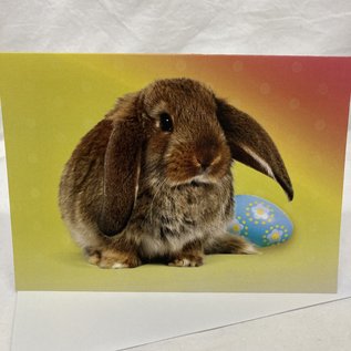 Easter Card Brown Bunny