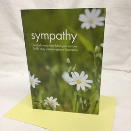 Sympathy Card Simple Daisies