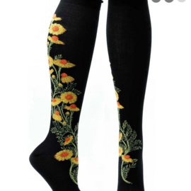 OZONE CHAMOMILE KNEE  SOCKS