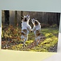 Anniversary Card Love Dance