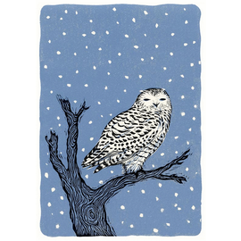 HOLIDAY CARD WISDOM SNOW OWL