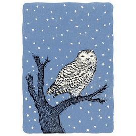 WISDOM SNOW OWL HOLIDAY CARD