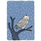 HOLIDAY CARD WISDOM SNOW OWL