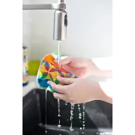 EUROSCRUBBY