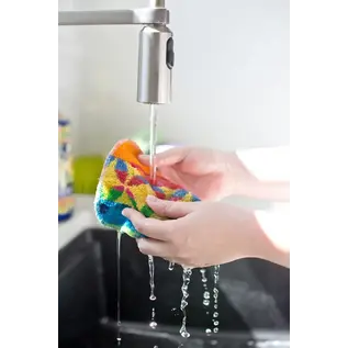 EUROSCRUBBY