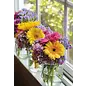 DAISIES IN VASES BIRTHDAY CARD