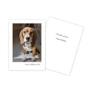 BIRTHDAY  CARD -  FUNNY DOG