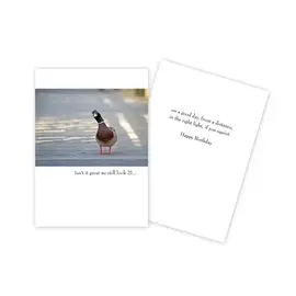 BIRTHDAY  CARD -  FUNNY DUCK