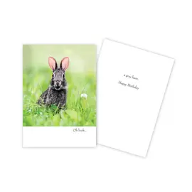 BIRTHDAY  CARD -  FUNNY BUNNY