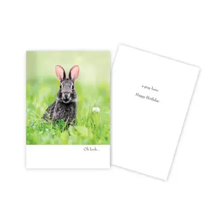 BIRTHDAY  CARD -  FUNNY BUNNY