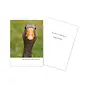 BIRTHDAY  CARD -  FUNNY GOOSE