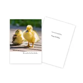 BIRTHDAY  CARD -  FUNNY CHICKS
