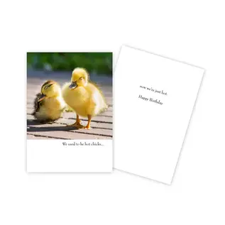 BIRTHDAY  CARD -  FUNNY CHICKS
