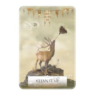 WISDOM OF THE ORACLE POCKET DECK