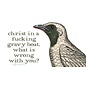 EFFIN' BIRDS - FUNNY BIRD IDENTIFICATION BOOK