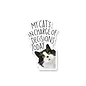STICKER - CAT IS IN CHARGE TODAY