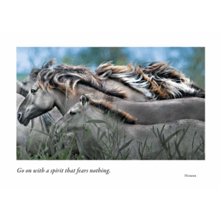 BIRTHDAY CARD WILD HORSES