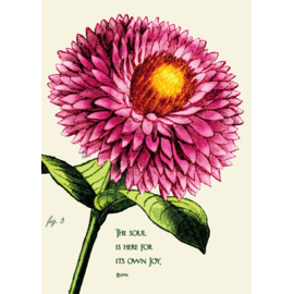 BIRTHDAY CARD STRAW FLOWER